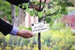 کاشت نهالی به یاد شهید دکتر علی آریا؛ حضورش در بیمارستان سینا تا همیشه سبز خواهند ماند