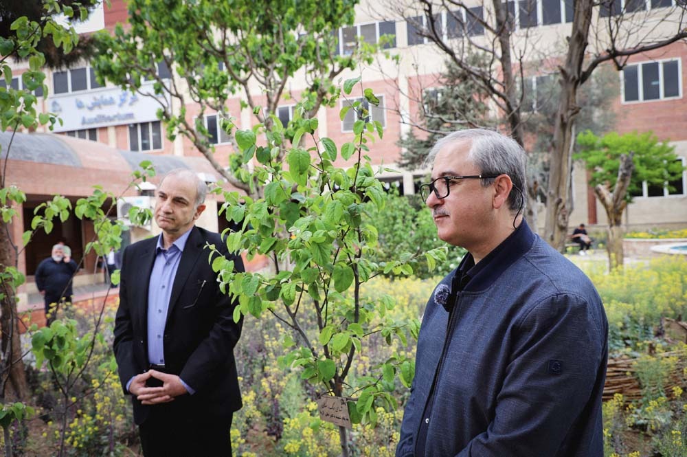 کاشت نهال به یاد شهید خدمت و سلامت، دکتر علی آریا؛ دستیار ارتوپدی بیمارستان سینا